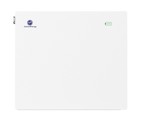 50A Lithium Ion Phosphate Battery Module 44.8V ~ 57.6V 51.2 V 100ah Battery